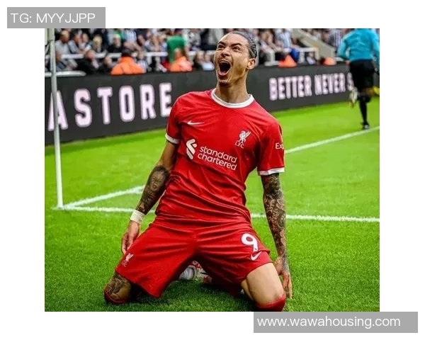 本菲卡逆转多特蒙德精彩补时进球点燃世界杯激情赛后精彩点评