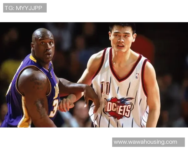 姚明职业生涯战绩回顾与成就分析