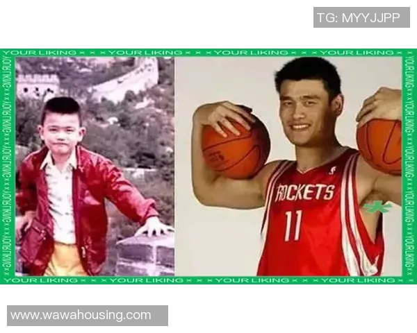 姚明的艺术人生：在扇面上描绘篮球巨星的风采与魅力