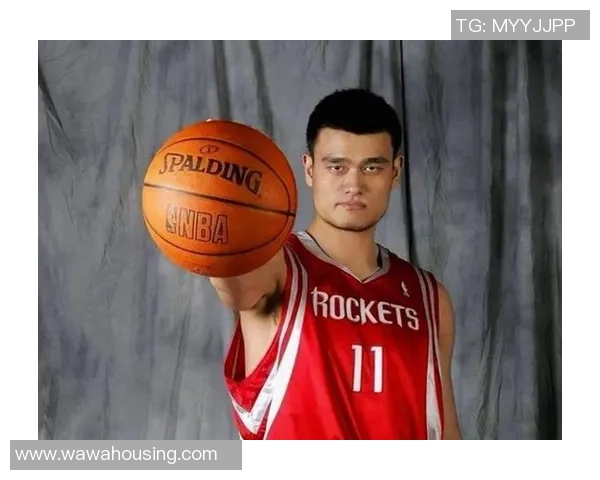 尊重姚明的决定是对他职业生涯的理解与支持