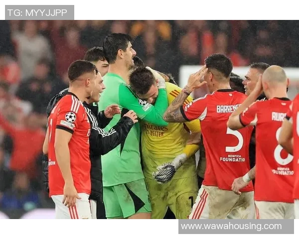 欧冠激战：本菲卡3-0多特蒙德红牌争议引发全场沸腾精彩十球回顾