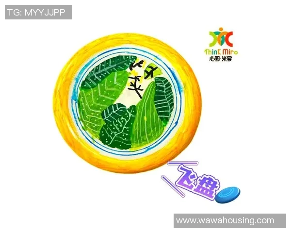 黄丽独家揭秘飞盘技巧与心得分享助你轻松掌握飞盘运动的乐趣与魅力